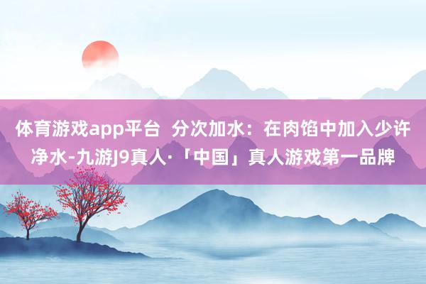 体育游戏app平台  分次加水：在肉馅中加入少许净水-九游J9真人·「中国」真人游戏第一品牌